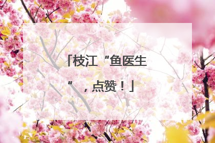 枝江“鱼医生”，点赞！