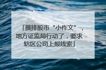 摸排股市“小作文”，地方证监局行动了，要求辖区公司上报线索
