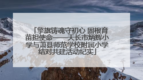 擎旗铸魂守初心 固根育苗担使命——天长市炳辉小学与萧县师范学校附属小学结对共建活动纪实