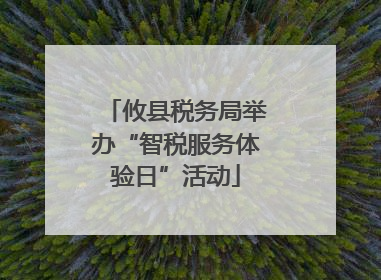 攸县税务局举办“智税服务体验日”活动