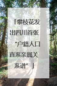 攀枝花发出四川首张“户籍人口直系亲属关系谱”