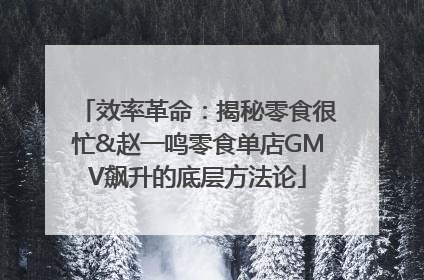 效率革命：揭秘零食很忙&赵一鸣零食单店GMV飙升的底层方法论
