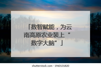 数智赋能，为云南高原农业装上“数字大脑”
