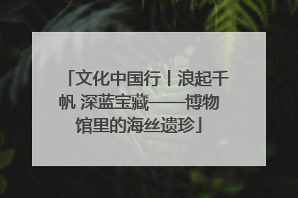 文化中国行丨浪起千帆 深蓝宝藏——博物馆里的海丝遗珍