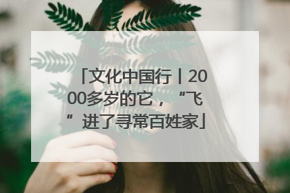 文化中国行丨2000多岁的它，“飞”进了寻常百姓家