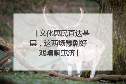 文化惠民直达基层，这两场豫剧好戏唱响惠济
