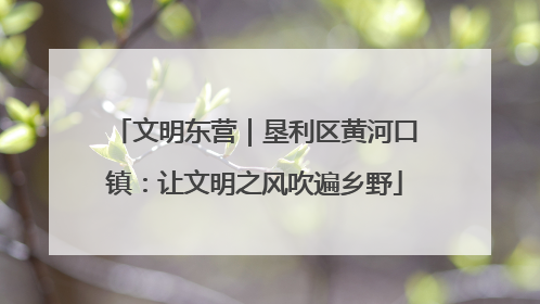 文明东营｜垦利区黄河口镇：让文明之风吹遍乡野