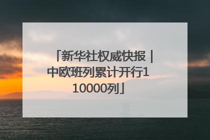 新华社权威快报｜中欧班列累计开行110000列