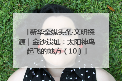 新华全媒头条·文明探源｜金沙遗址：太阳神鸟起飞的地方（10）