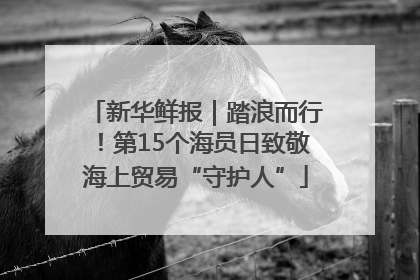 新华鲜报｜踏浪而行！第15个海员日致敬海上贸易“守护人”
