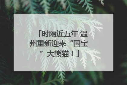 时隔近五年 温州重新迎来“国宝”大熊猫！