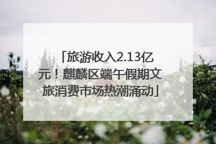 旅游收入2.13亿元！麒麟区端午假期文旅消费市场热潮涌动
