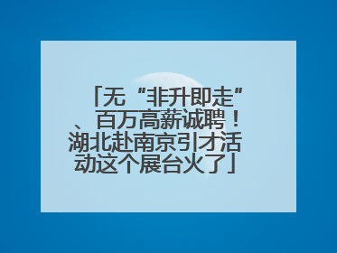 无“非升即走”、百万高薪诚聘！湖北赴南京引才活动这个展台火了