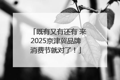 既有又有还有 来2025京津冀品牌消费节就对了！