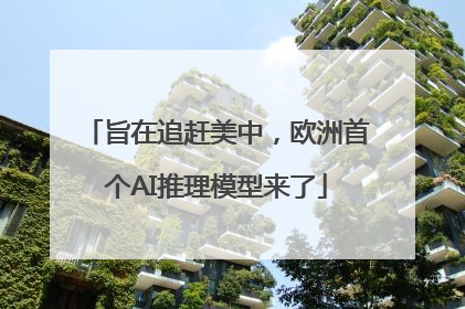 旨在追赶美中，欧洲首个AI推理模型来了