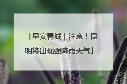 早安春城｜注意！昆明将出现强降雨天气