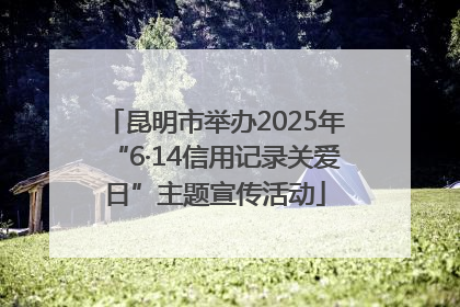昆明市举办2025年“6·14信用记录关爱日”主题宣传活动