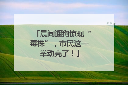 晨间遛狗惊现“毒株”，市民这一举动亮了！