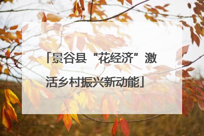 景谷县“花经济”激活乡村振兴新动能