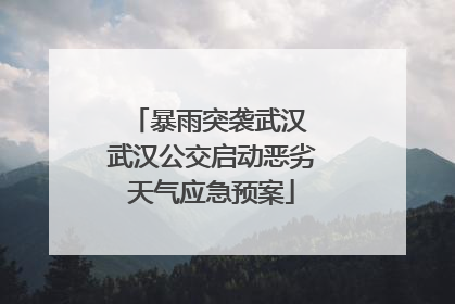 暴雨突袭武汉 武汉公交启动恶劣天气应急预案