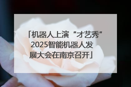 机器人上演“才艺秀” 2025智能机器人发展大会在南京召开
