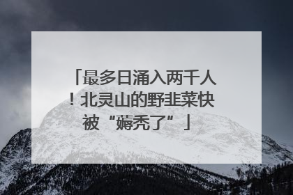 最多日涌入两千人！北灵山的野韭菜快被“薅秃了”