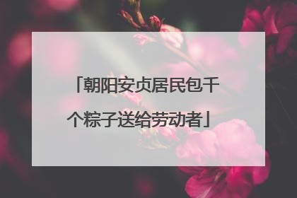 朝阳安贞居民包千个粽子送给劳动者