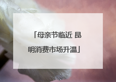 母亲节临近 昆明消费市场升温