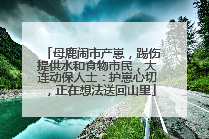 母鹿闹市产崽，踢伤提供水和食物市民，大连动保人士：护崽心切，正在想法送回山里