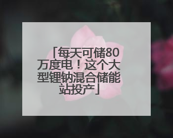 每天可储80万度电！这个大型锂钠混合储能站投产