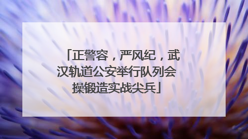 正警容，严风纪，武汉轨道公安举行队列会操锻造实战尖兵
