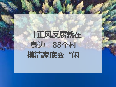 正风反腐就在身边｜88个村摸清家底变“闲”为“宝”
