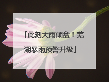 此刻大雨倾盆！芜湖暴雨预警升级