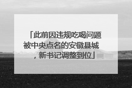此前因违规吃喝问题被中央点名的安徽县城，新书记调整到位