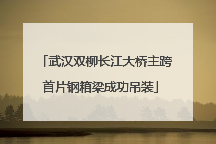 武汉双柳长江大桥主跨首片钢箱梁成功吊装