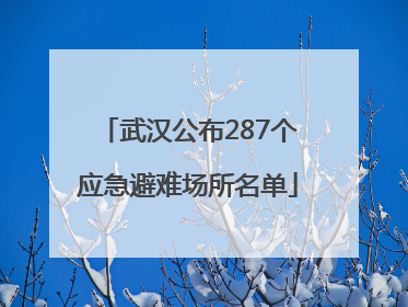 武汉公布287个应急避难场所名单
