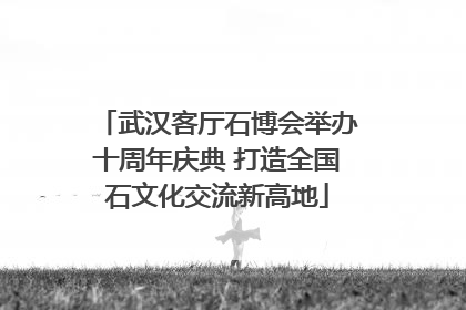 武汉客厅石博会举办十周年庆典 打造全国石文化交流新高地