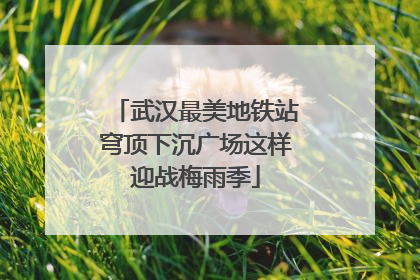 武汉最美地铁站穹顶下沉广场这样迎战梅雨季