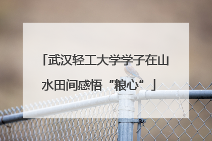 武汉轻工大学学子在山水田间感悟“粮心”