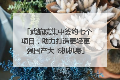 武航院集中签约七个项目，助力打造更轻更强国产大飞机机身