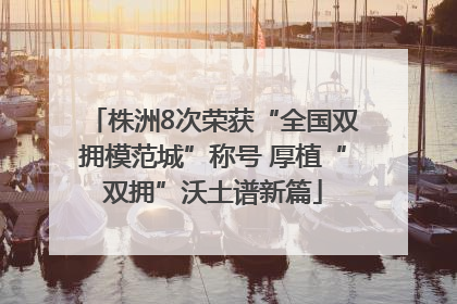 株洲8次荣获“全国双拥模范城”称号 厚植“双拥”沃土谱新篇