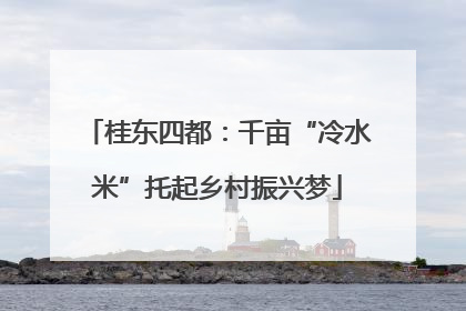 桂东四都：千亩“冷水米”托起乡村振兴梦