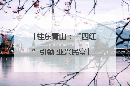 桂东青山：“四红”引领 业兴民富