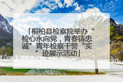 桐柏县检察院举办“检心永向党，青春铸忠诚”青年检察干警“实”迹展示活动