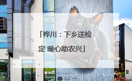 桦川：下乡送检定 暖心助农兴