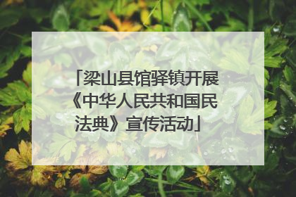 梁山县馆驿镇开展《中华人民共和国民法典》宣传活动