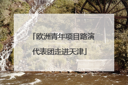 欧洲青年项目路演代表团走进天津