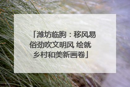 潍坊临朐：移风易俗劲吹文明风 绘就乡村和美新画卷