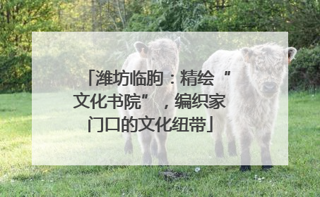 潍坊临朐：精绘“文化书院”，编织家门口的文化纽带