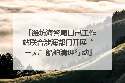 潍坊海警局昌邑工作站联合涉海部门开展“三无”船舶清理行动